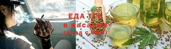 стаф Туринск