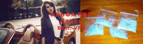 прущие крисы Тында