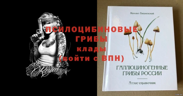 альфа пвп Усинск