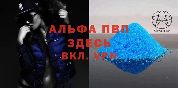 стаф Туринск