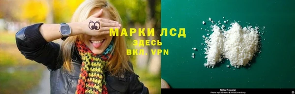 стаф Туринск