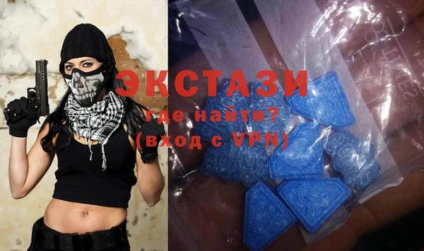 стаф Туринск