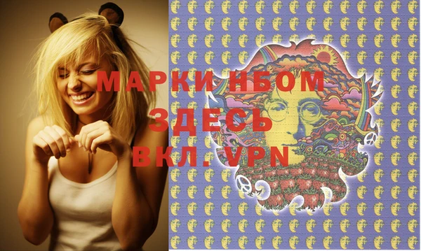 стаф Туринск